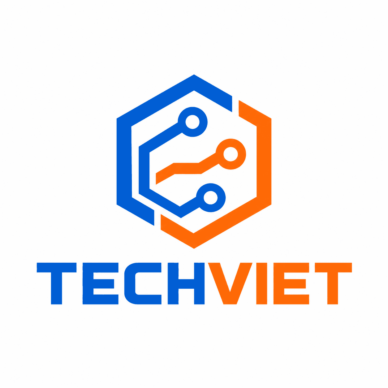 TechViet Solutions